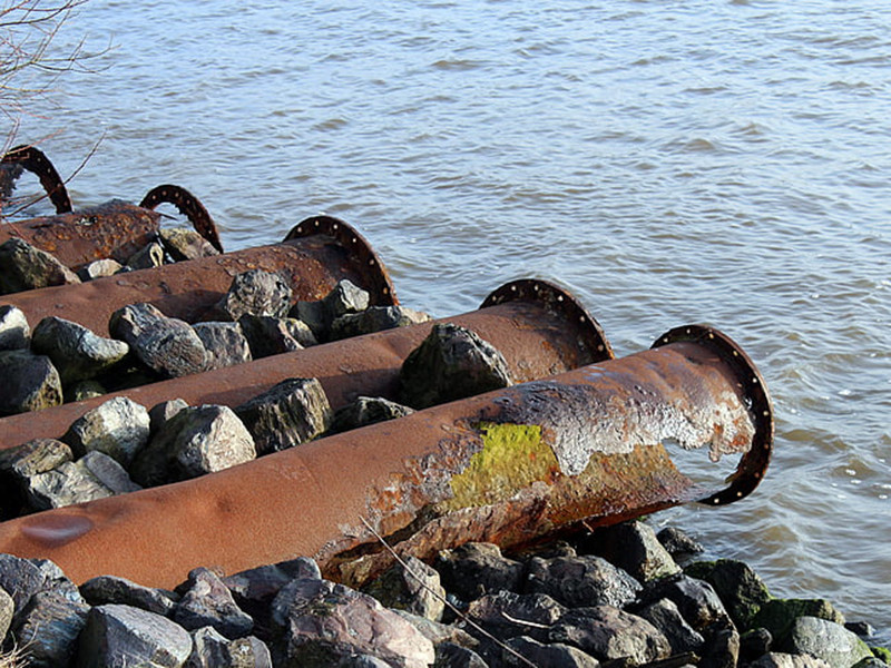 水質(zhì)生物毒性在線分析儀具備哪些特點 水質(zhì)生物毒性在線分析儀具備哪些特點