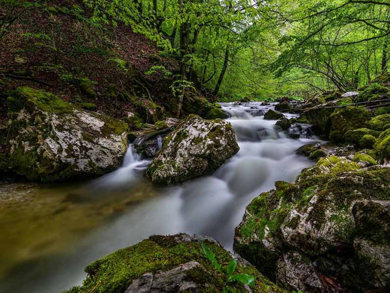 溶解氧測定的三種方法