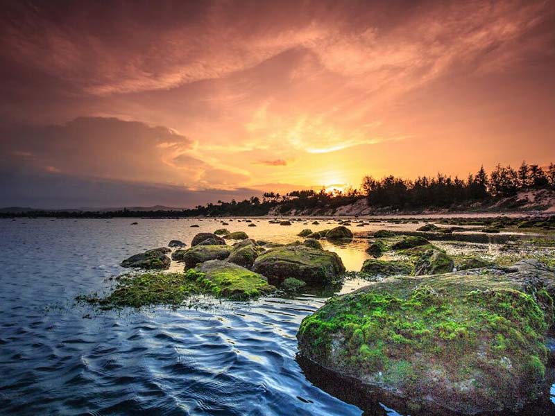 黑臭水體的判斷標(biāo)準(zhǔn)