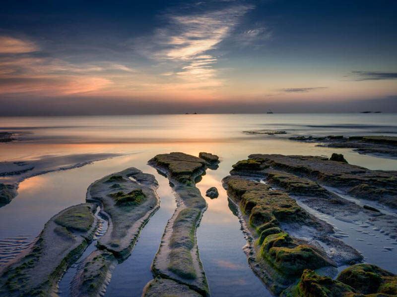 氨氮超標的危害有哪些（水質氨氮檢測的意義）