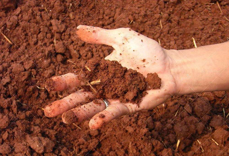 土壤墑情監(jiān)測儀 土壤墑情監(jiān)測儀